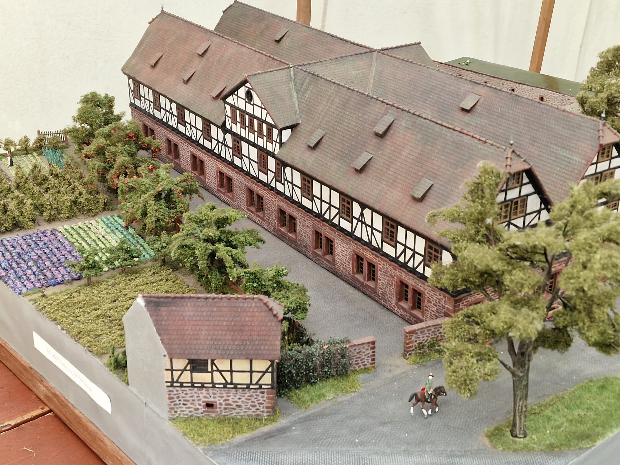 Fest wie Ziegenhain 2026 – zusätzliches Galeriebild 18